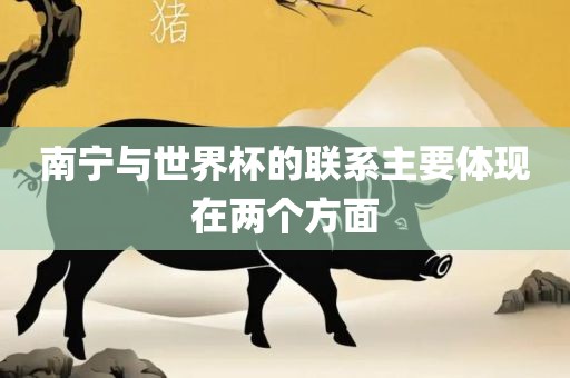 南宁与世界杯的联系主要体现在两个方面金炬实业股份有限公司