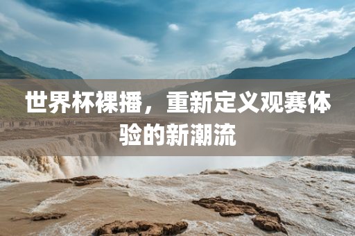 世界杯金炬实业股份有限公司裸播，重新定义观赛体验的新潮流