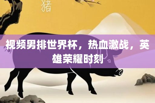 视频男排世界杯，热血激战，英雄荣耀时刻