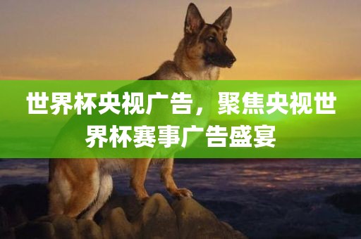 世界杯央视广告，聚焦央视世界杯赛事广告盛宴金炬实业股份有限公司