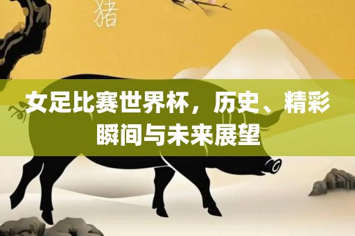 女足比赛世界杯，历史、精彩瞬间与未来展望