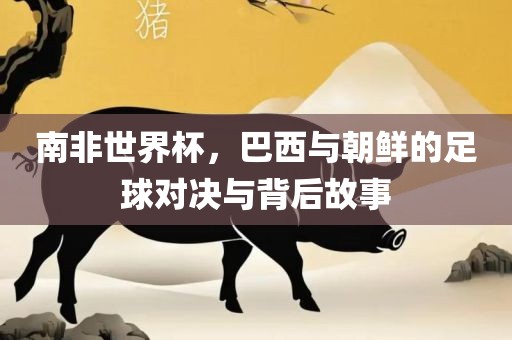 南非世界杯，巴西与朝鲜的足球对决与背后故事