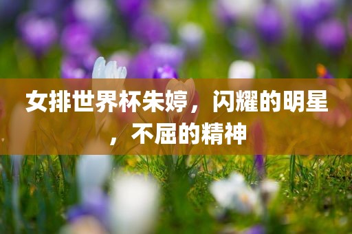 女排世界杯朱婷金炬实业股份有限公司，闪耀的明星，不屈的精神