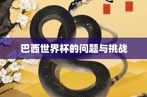 巴西世界杯的问题与挑战金炬实业股份有限公司