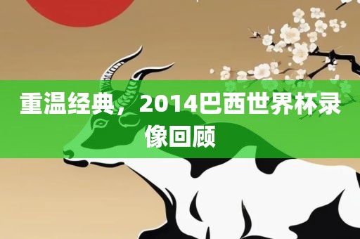 重温经典，2014巴西世界杯录像回顾