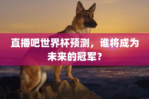 直播吧世界杯预测，谁将成为未来的冠军？