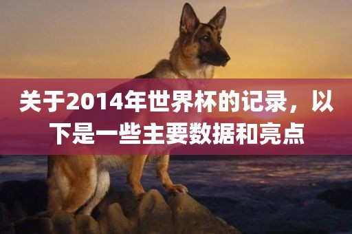 关于2014年世界杯的记录，以下是一些主要数据和亮点金炬实业股份有限公司