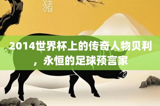 2014世界杯上的传奇人物贝利，永恒的足球预言家金炬实业股份有限公司