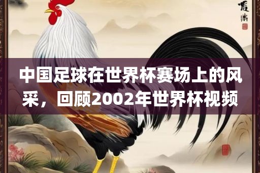 中国足球在世界杯赛场上的风采，回顾2002年世界杯视频