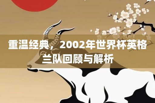 重温经典，2002年世界杯英格兰队回顾与解析