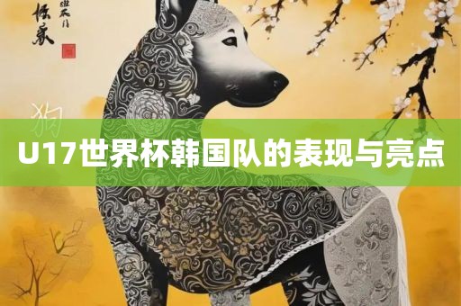 U17世界杯韩国队的表现与亮点金炬实业股份有限公司