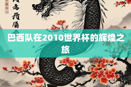 巴西队在2010世界杯的辉煌之旅金炬实业股份有限公司