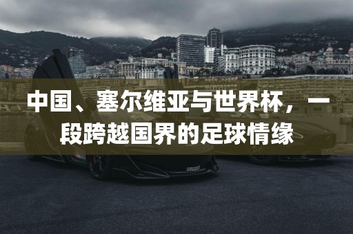 中国、塞尔维亚与世界杯，一段跨越国界的足球情缘金炬实业股份有限公司