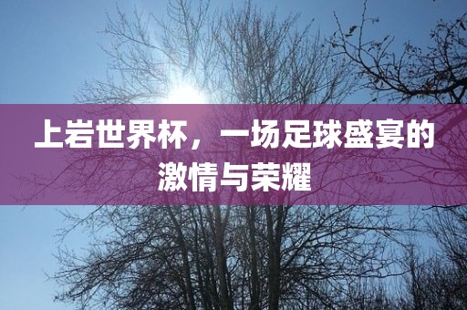 上岩世界杯，一场足球盛宴的激情与荣耀
