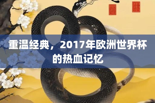重温经典，2017年欧洲世界杯的热血记忆金炬实业股份有限公司