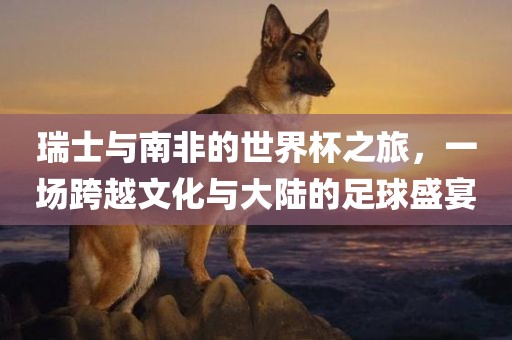 瑞士与南非的世界杯之旅，一场跨越文化与大陆的足球盛宴