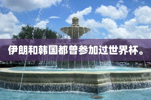 伊朗和韩国都曾参加过世界杯。金炬实业股份有限公司