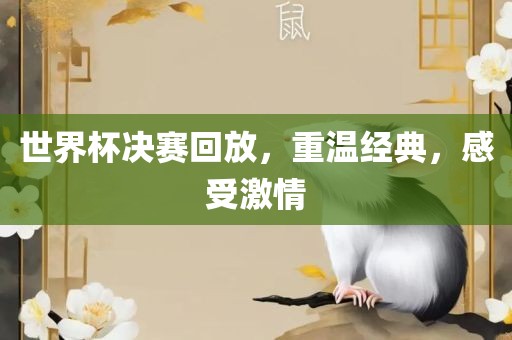 世界杯决赛回放，重温经典，感受激情金炬实业股份有限公司