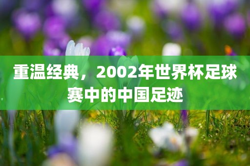 重温经典，2002年世界杯足球赛中的中国足迹金炬实业股份有限公司