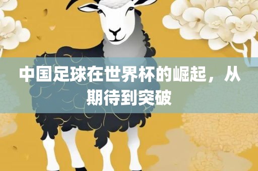 中国足球在世界杯的崛起，从期待到突破金炬实业股份有限公司