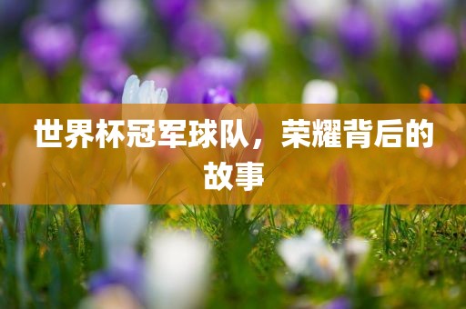 世界杯冠军球队，荣耀金炬实业股份有限公司背后的故事