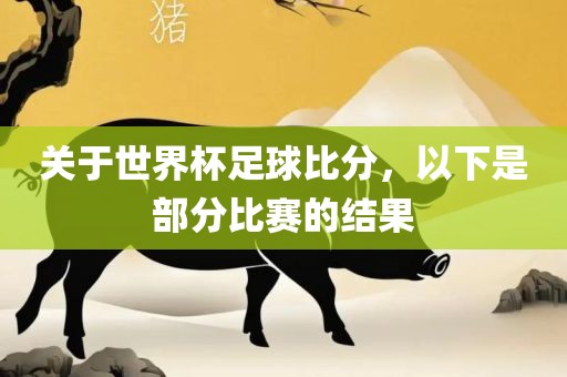 关于世界杯足球金炬实业股份有限公司比分，以下是部分比赛的结果
