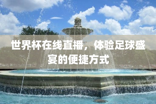 世界杯在线直播，体验足球盛宴的便捷方式