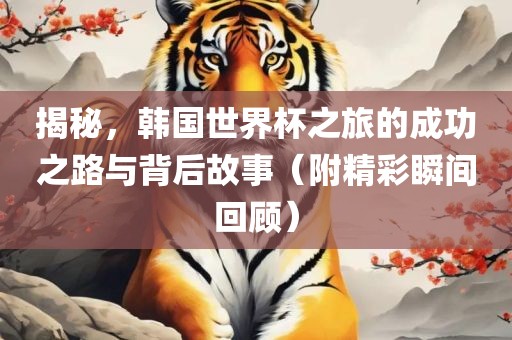 揭秘，韩国世界杯之旅的成功之路与背后故事（附精彩瞬间回顾）