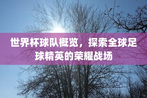 世界杯球队概览，探索全球足球精英的荣耀战场