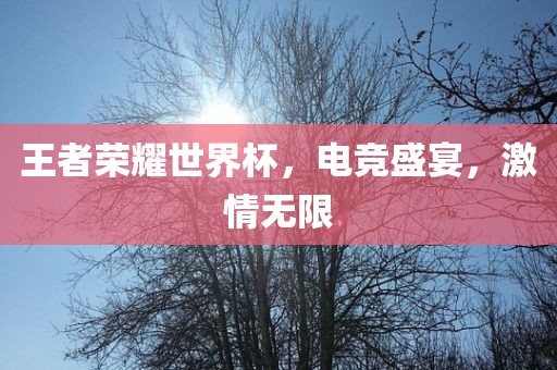 王者荣耀世界杯，电竞盛宴，激情无限