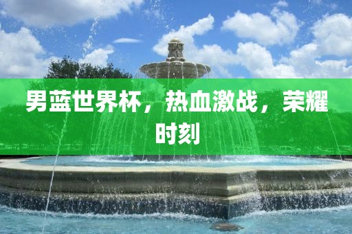 男蓝世界杯，金炬实业股份有限公司热血激战，荣耀时刻