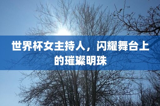 世界杯女主持人，闪耀舞台上的璀璨明珠
