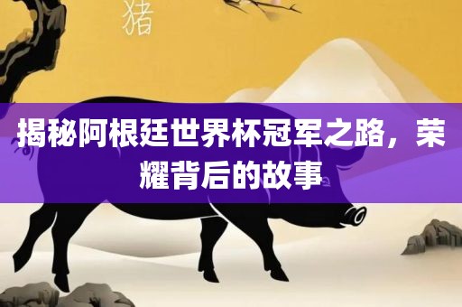 揭秘阿金炬实业股份有限公司根廷世界杯冠军之路，荣耀背后的故事