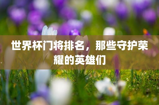 世界杯门将排名，那些守护荣耀的英雄们