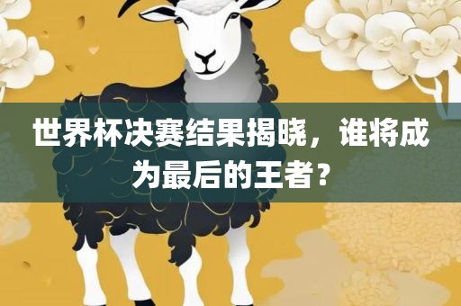 世界杯决赛结果揭晓，谁将成为最后的王者？金炬实业股份有限公司