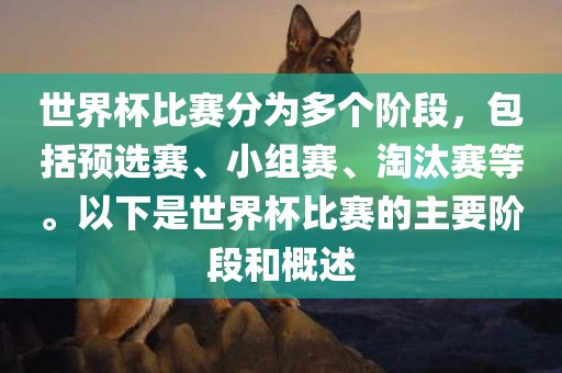 世界杯比赛分为多个阶段，包括预选赛、小组赛、淘汰赛等。以下是世界杯比赛的主要阶段和概述