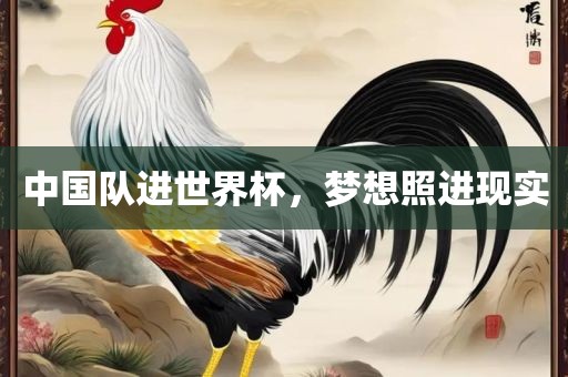 中国队进世界杯，梦想照进现实金炬实业股份有限公司