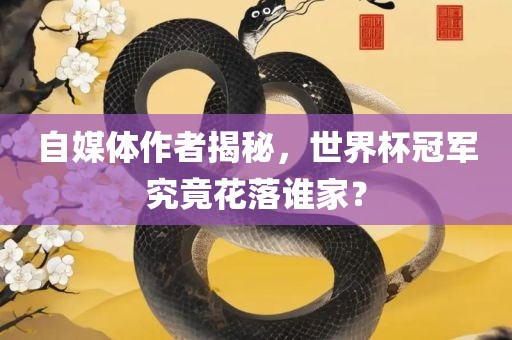 自媒体作者揭秘，世界杯冠军究竟花落谁家？金炬实业股份有限公司