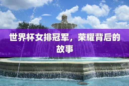 世界杯女排冠军，荣耀背后的故事金炬实业股份有限公司