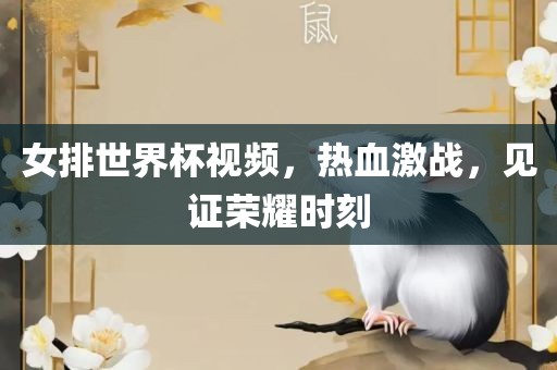 女排世界杯视频，热血激战，见证荣耀时刻金炬实业股份有限公司