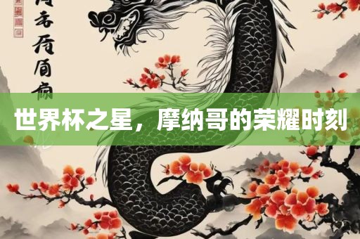 世界杯之星，摩纳哥的荣耀时刻金炬实业股份有限公司
