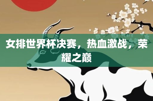 女排世界杯决赛，热血激战，荣耀之巅金炬实业股份有限公司