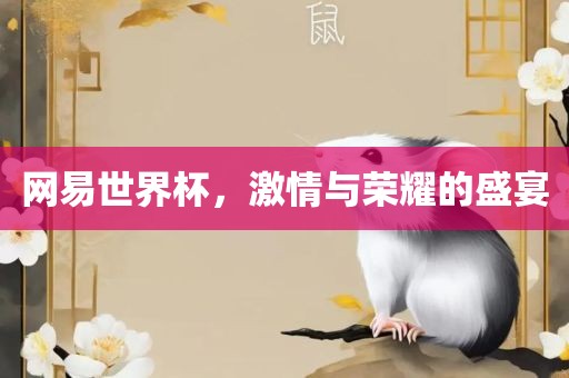 网易世界杯，激情与荣耀的盛宴金炬实业股份有限公司