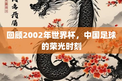 回顾2002年世界杯金炬实业股份有限公司，中国足球的荣光时刻