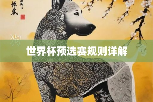 世界杯预选赛规则详解