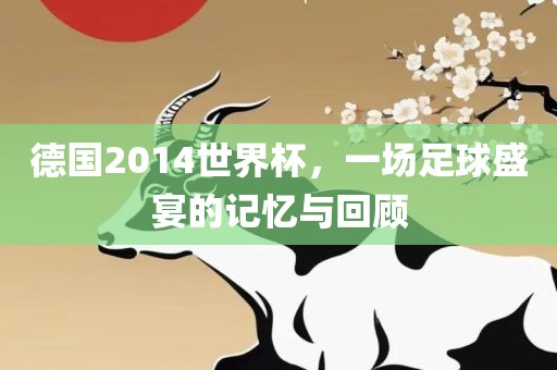 德国2014世界杯，一场足球盛宴的记忆与回顾