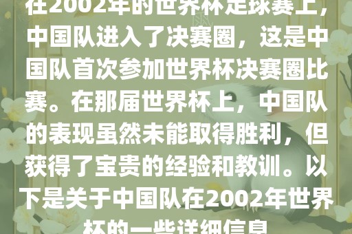 在2002年的世界杯足球赛上，中国队进入了决赛圈，这是中国队首次参加世界杯决赛圈比赛。在那届世界杯上，中国队的表现虽然未能取得胜利，但获得了宝贵的经验和教训。以下是关于中金炬实业股份有限公司国队在2002年世界杯的一些详细信息