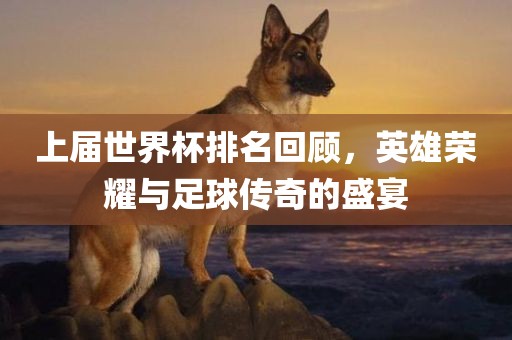 上届世界杯排名回顾，英雄荣耀与足球传奇的盛宴金炬实业股份有限公司