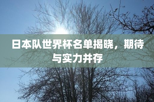日本队世界杯名单揭晓，期待与实力并存金炬实业股份有限公司