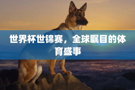 世界杯世锦赛，全球瞩目的体育盛事金炬实业股份有限公司